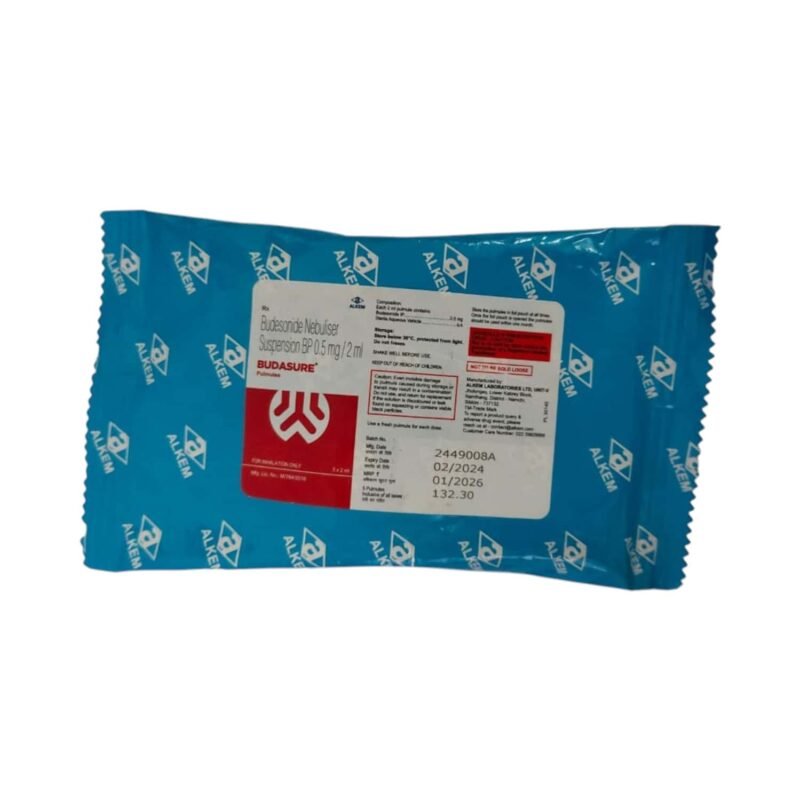 BUDHAKAKA FUDINA ARK