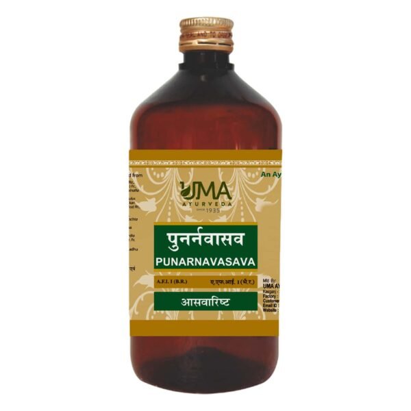PUNARNAVASAV