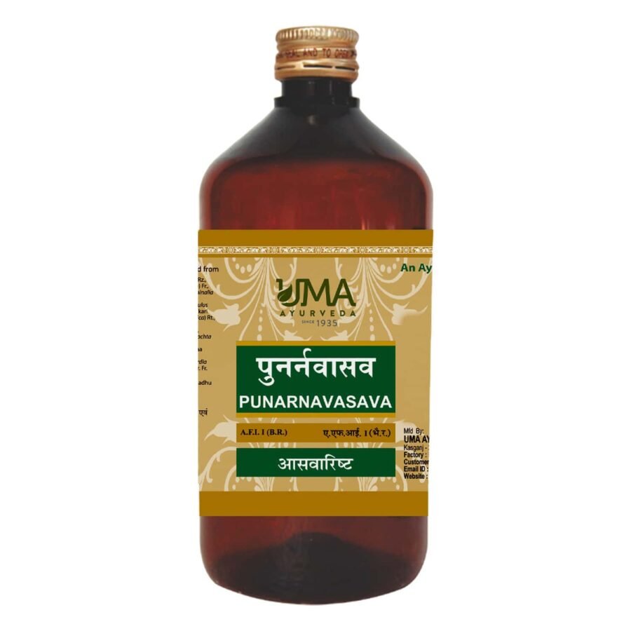 PUNARNAVASAV