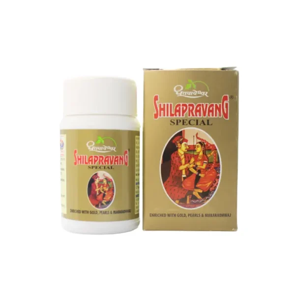 SHILAPRAVANG SPECIAL