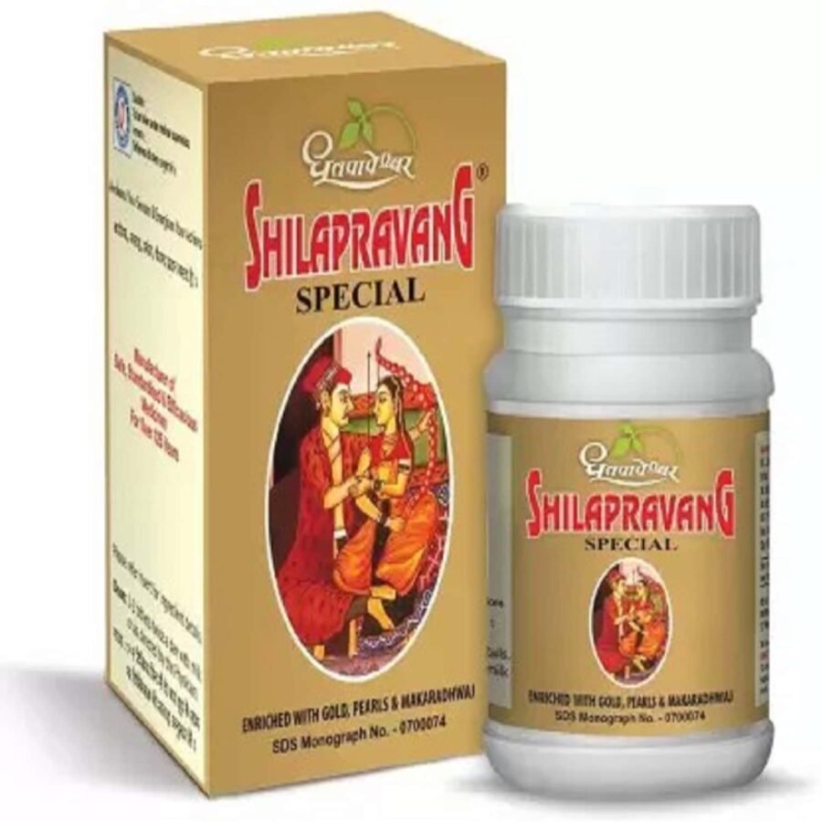 SHILAPRAVANG WITH MAUKTIK